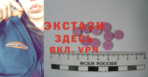 дмт Богданович