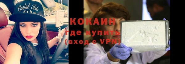 дмт Богданович