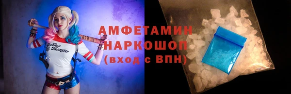 дмт Богданович