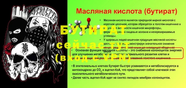 дмт Богданович