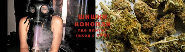дмт Богданович