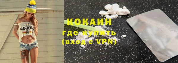 дмт Богданович