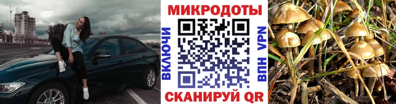 OMG ТОР  Каневская  Галлюциногенные грибы Cubensis  что такое наркотик 